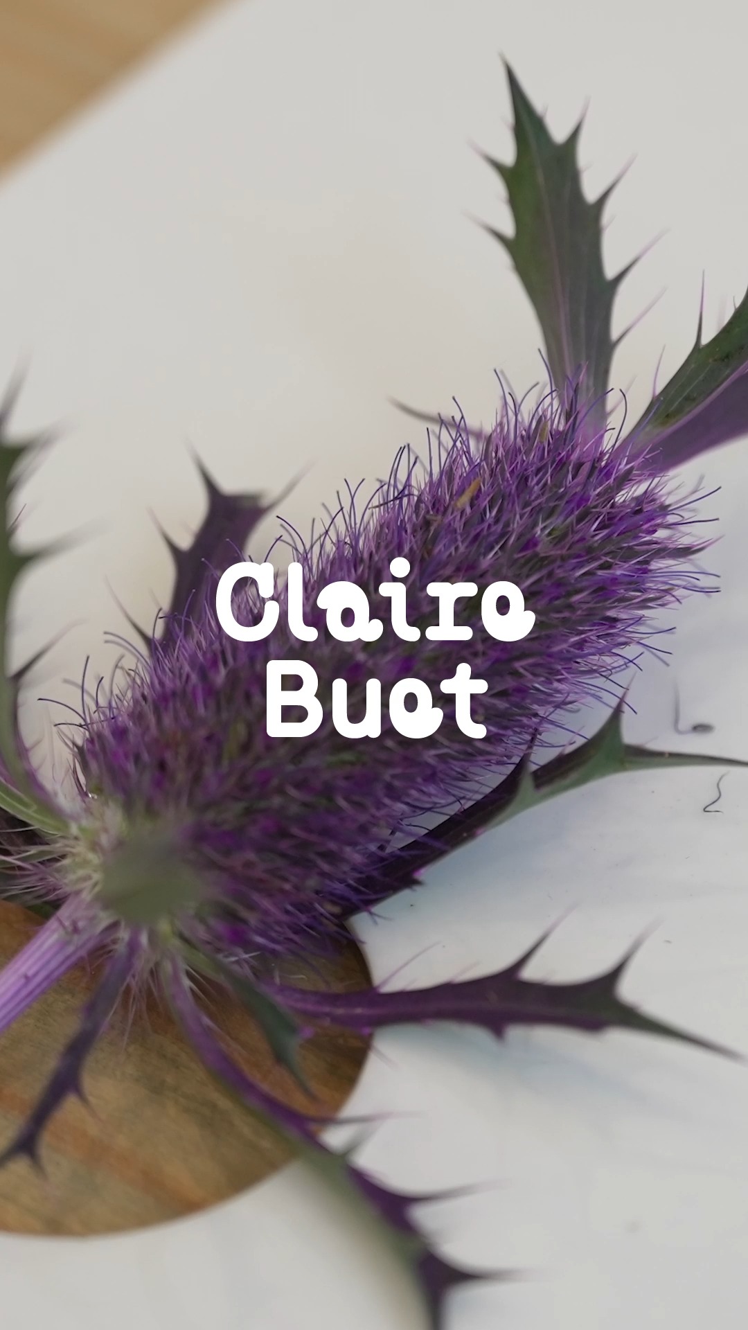 LA COUVEUSE PROMESSE – Portrait de Claire Buet
.
@clairebuet , diplômée en Design Objet (2023), a fait partie de la promotion 2024 de la Couveuse, au sein du module porté par la Chaire Écodesign & Création, en partenariat avec DECATHLON. Elle y a développé son projet d'objets poétiques inspirés par la cueillette de fleurs, et revient aujourd’hui sur son parcours et l’impact de l’accompagnement.
.
🎥 Dans cette vidéo, Claire partage ce que la Couveuse lui a apporté : un cadre pour structurer son projet, affiner sa démarche écoresponsable, passant par une production locale, et donner corps à un univers sensible.
Au fil du mentoring, des ateliers et des rencontres professionnelles, la Couveuse a accompagné la maturation de sa pratique et l’affirmation d’une écriture singulière, attentive aux valeurs d'attention, de soin et de contemplation.
.
Un témoignage qui illustre la mission de la Couveuse PROMESSE : soutenir et accélérer les projets des jeunes créateur·ices de l’École des Arts Décoratifs – PSL, en leur offrant un espace pour penser leur trajectoire et déployer leur vision.