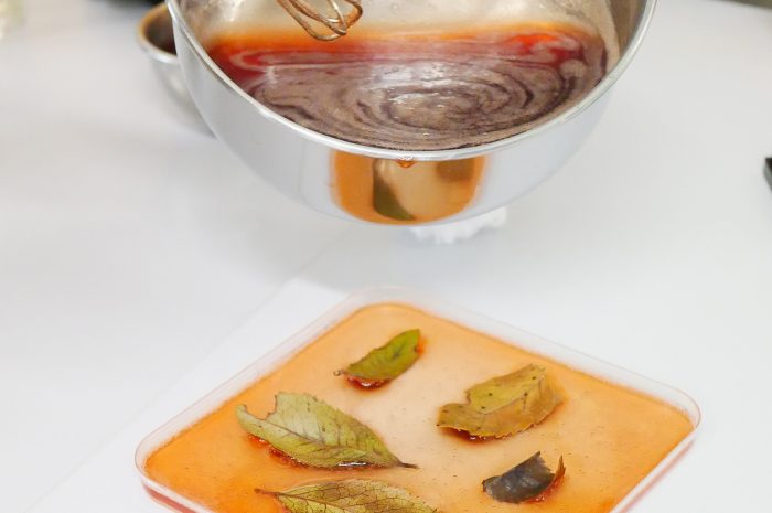 BIOFABRIC-EnaMoMa-39