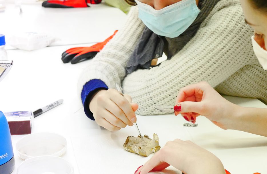 BIOFABRIC-EnaMoMa-42