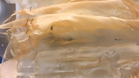 c75f48f6-d0e4-4d6f-a71d-222583a5ed65