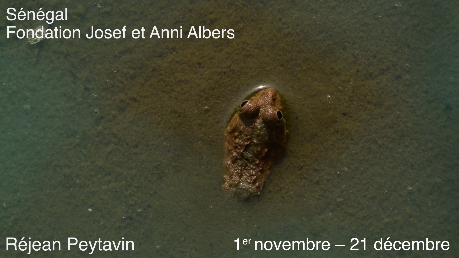 [Résidence PROMESSE] Retour en images sur la résidence de Réjean Peytavin @rejean.peytavin au Sénégal, en partenariat avec la Fondation Josef et Anni Albers @albers_foundation 
.
Depuis 2023, l’École des Arts Décoratifs et la Fondation Josef et Anni Albers s’associent pour offrir à un·e diplômé·e une résidence de trois mois au Sénégal, aux États-Unis ou en Irlande, accompagnée d’une bourse de vie de 2 000 euros.
.
Diplômé en 2020 du secteur Art Espace, Réjean Peytavin conçoit sa résidence au sein du centre culturel Thread à Sinthian au Sénégal, comme un temps suspendu et privilégié de recherche, essentiellement consacré à la lecture et au dessin de nouvelles formes de vases et autres motifs inspirés de ses rencontres avec les habitant.e.s de la région, l’artisanat, les paysages, la présence des animaux, les couleurs et les usages des lieux.
.
Dessin, céramique et collaborations avec des artisan.e.s étant au cœur de sa pratique, qui procède par glissements entre les techniques et leurs transmissions, il a noué des contacts lui permettant de mener diverses expérimentations à partir d’images réalisées en résidence : avec une couturière, un créateur d’habillage de moto en similicuir et une potière, chacun.e étant invité.e à la libre interprétation. Il a notamment filmé les gestes de la potière lors du modelage de canaris, puis leur cuisson traditionnelle en même temps que les vases et bas-reliefs qu’il a lui-même façonnés dans l’argile locale après l’avoir foulée et préparée. 
Ces différents aspects du travail mené en résidence constituent ainsi une cartographie subjective des savoir-faire du territoire exploré et seront développés dans différents projets suivant les protocoles propres à sa démarche. 
.
Crédits vidéos : Réjean Peytavin